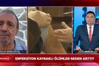 Mehmet Ceyhan’dan ‘maske takın’ uyarısı