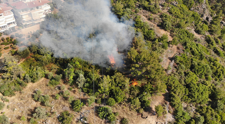 Alanya Kale Yangın : Alanya Kalesi Ndeki Orman Yangini Korkuttu Tarim Ve Orman Bakanligi Www Obmhaber Com, Gibi durumların ilgili birimlere yönlendirilerek sorunlara erken müdahale edilmektedir.