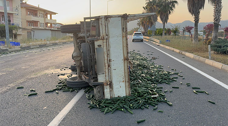 Gazipaşa’da kamyonet devrildi: Salatalıklar yola saçıldı