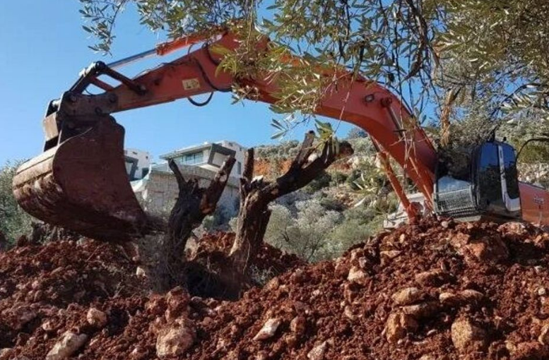 Kaş’ta kaçak yapılar için yıkım ihalesi açıldı