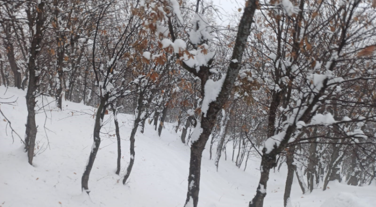 Batman’da 80 köy yolu ulaşıma kapandı