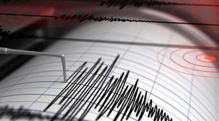 Erzurum'da 4.6 büyüklüğünde deprem 