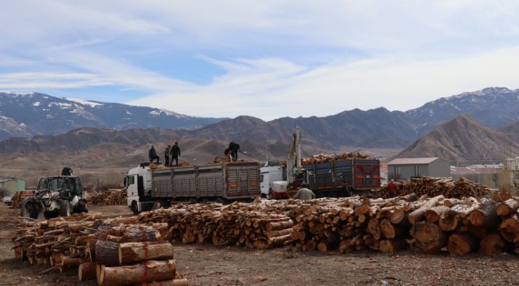 Erzurum’dan depremzedelere 150 ton yakacak odun