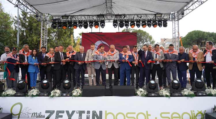 Zeytinin yuvası Milas’ta hasat coşkusu 9. kez yaşandı