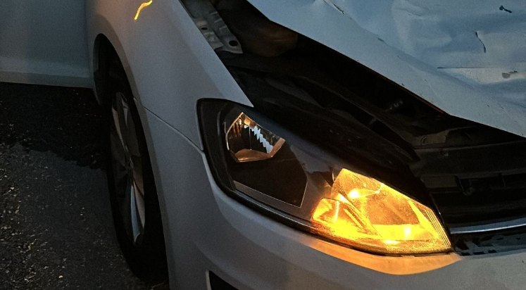 Geyik telef oldu, hurdaya dönen otomobildeki 1 kişi yaralandı