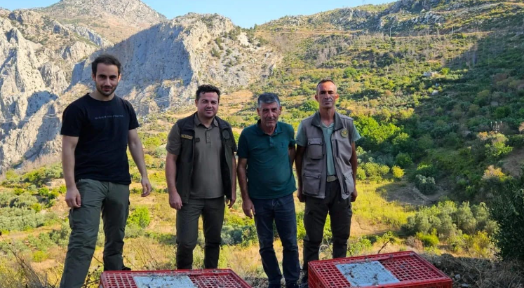 Akseki’de 920 keklik salımı gerçekleştirildi
