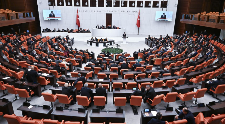 TBMM'de kadına yönelik şiddete karşı araştırma komisyonu kurulacak