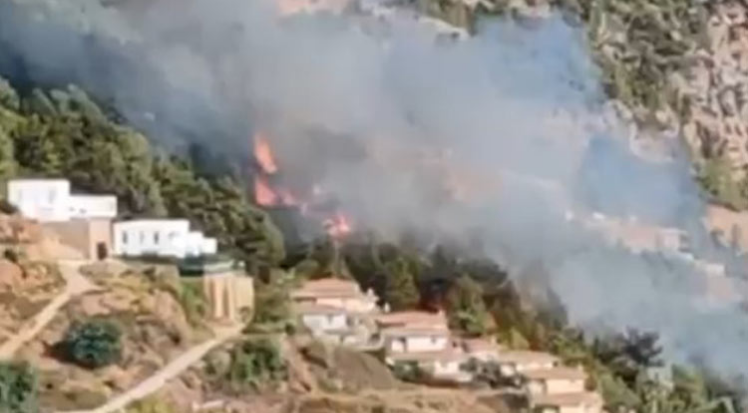 Alanya'da orman yangını