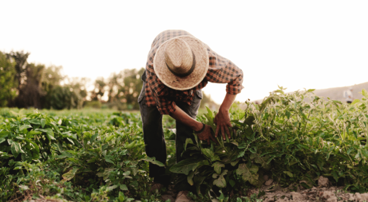 Esnaf ve çiftçiye destekler sürecek