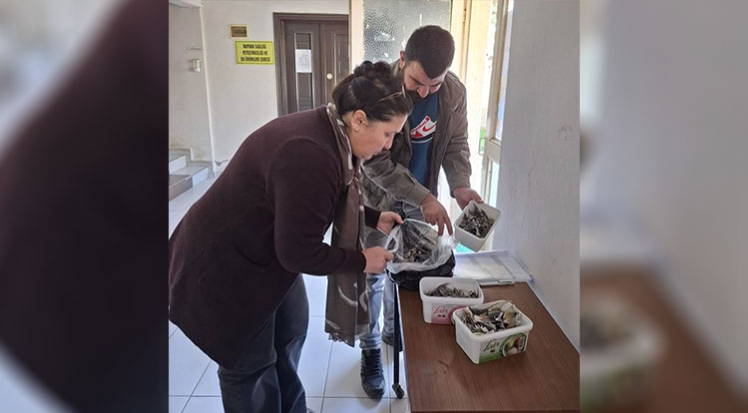 Balon balığıyla mücadele kapsamında balıkçılara bilgilendirme yapıldı