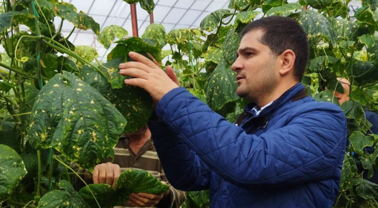 Gazipaşa’da çiftçilere biyolojik mücadele desteği