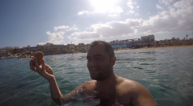 Alanya’da deniz altında balıklara pasta ikramı