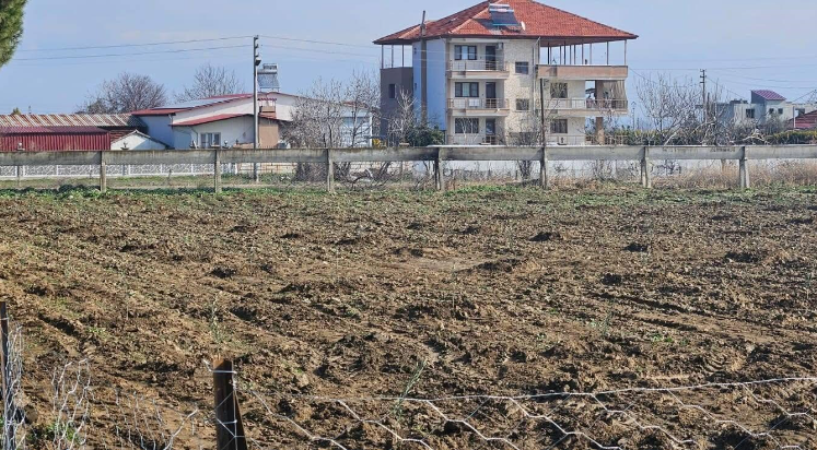 Tarım öğrencileri 200 zeytin fidanı dikti