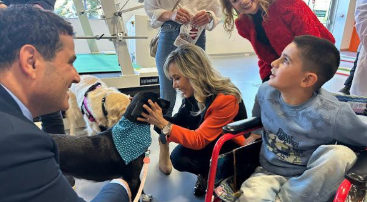 Çokal, sahipsiz köpeklerin terapi köpeği olmasına dair açıklama yaptı