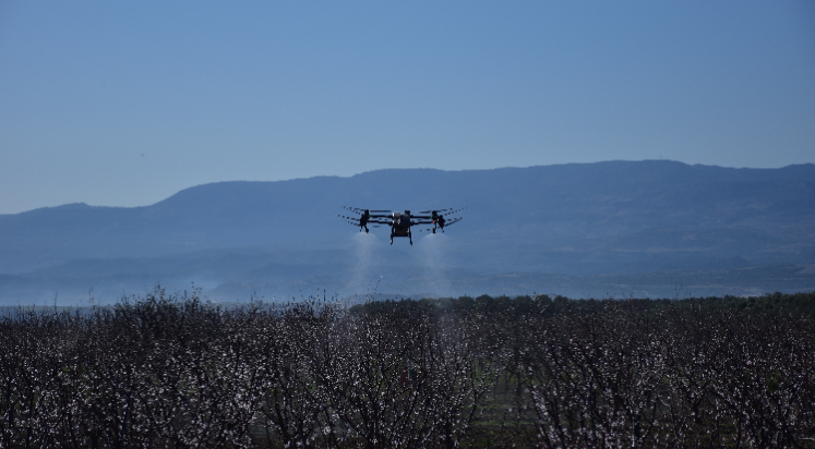 Çiçek açan kayısı ağaçları zirai dronla ilaçlandı