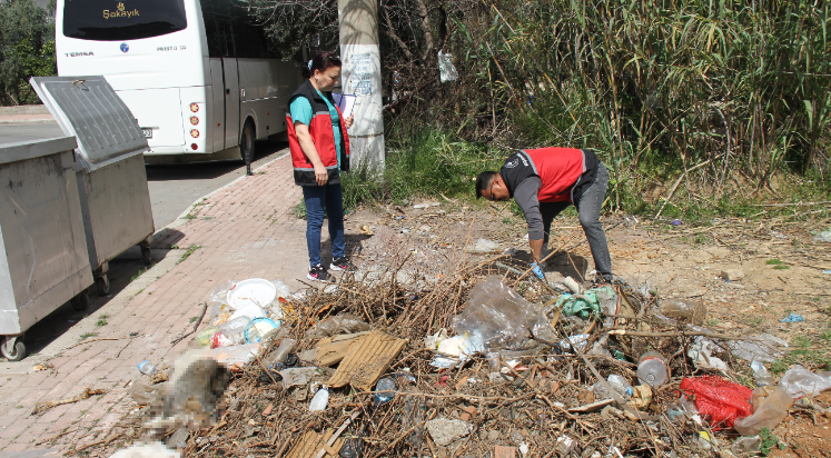 Antalya'da kedi ölümleriyle ilgili inceleme başlatıldı