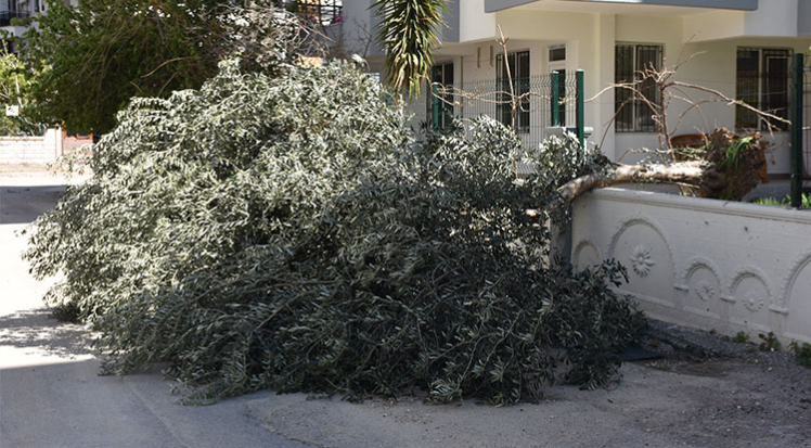 Antalya’da etkili olan kuvvetli rüzgar yaşamı olumsuz etkiledi