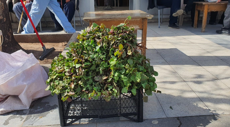 Yılın ilk kuzu ulağı tezgahlardaki yerini aldı