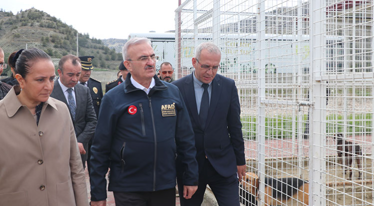Bakan Yardımcısı Karaloğlu’dan sahipsiz sokak hayvanlarıyla ilgili açıklama