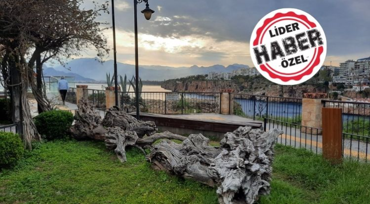Antalyalılar keçileri kaçırdı