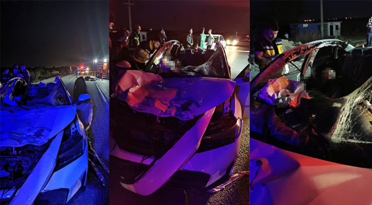 Başıboş ata çarpan otomobildeki yolcu hayatını kaybetti