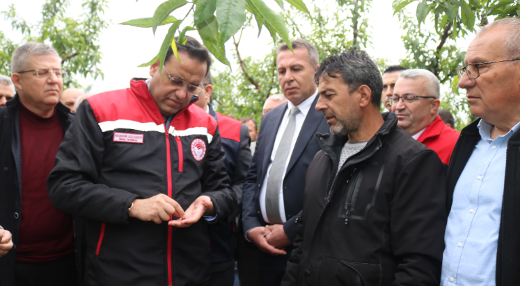 Bakan Yardımcısı Gizligider, zirai dondan etkilenen alanları inceledi
