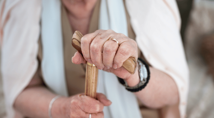 YADES programı ile 153 bin yaşlıya destek sağlandı