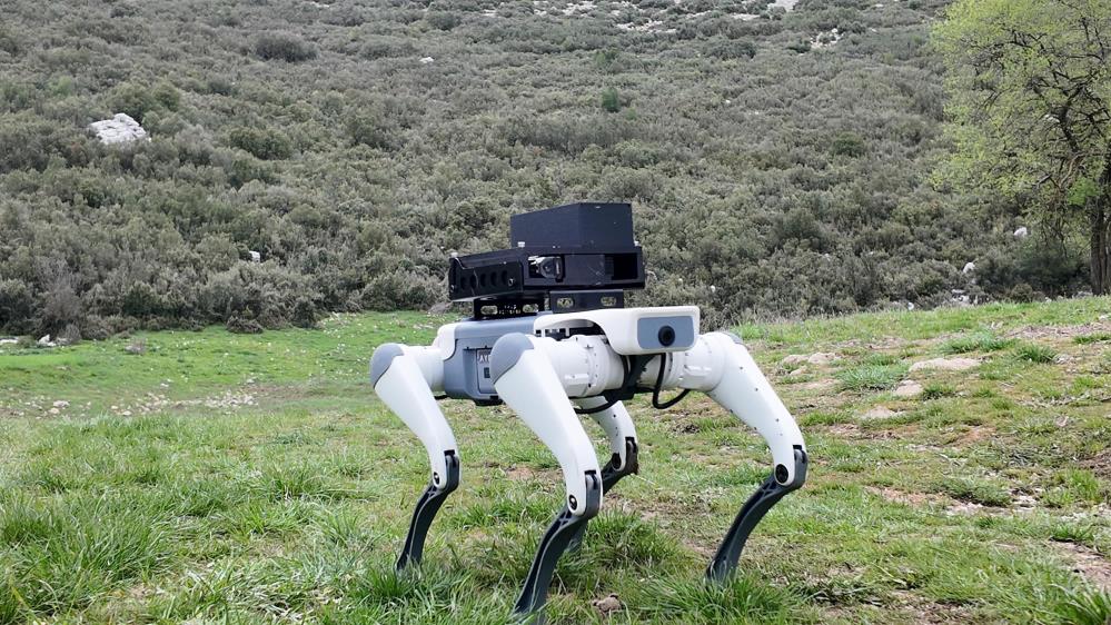Yerli savunma sanayi firmasından robotik köpek atılımı: AyBARS